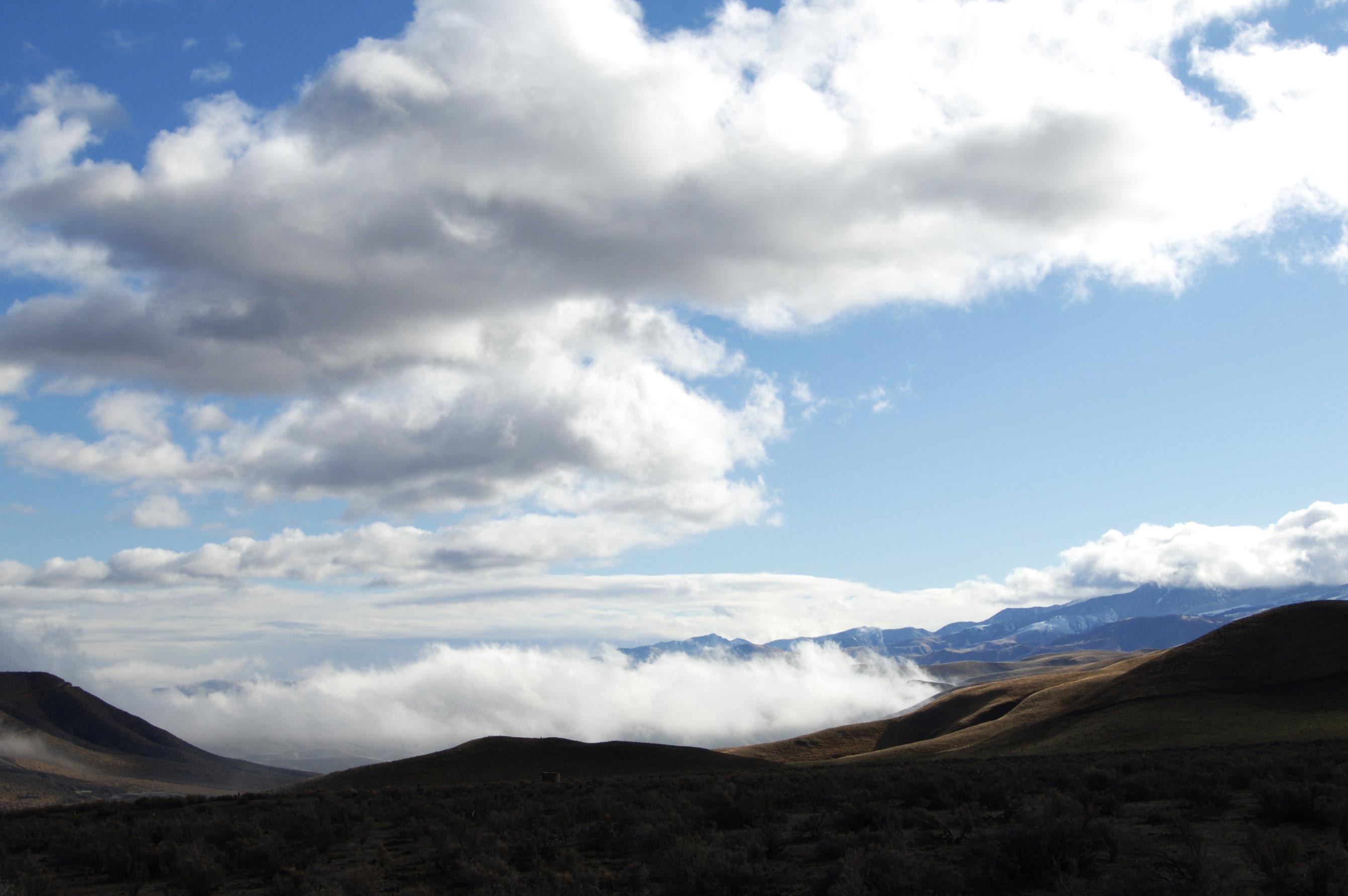 Cuyama