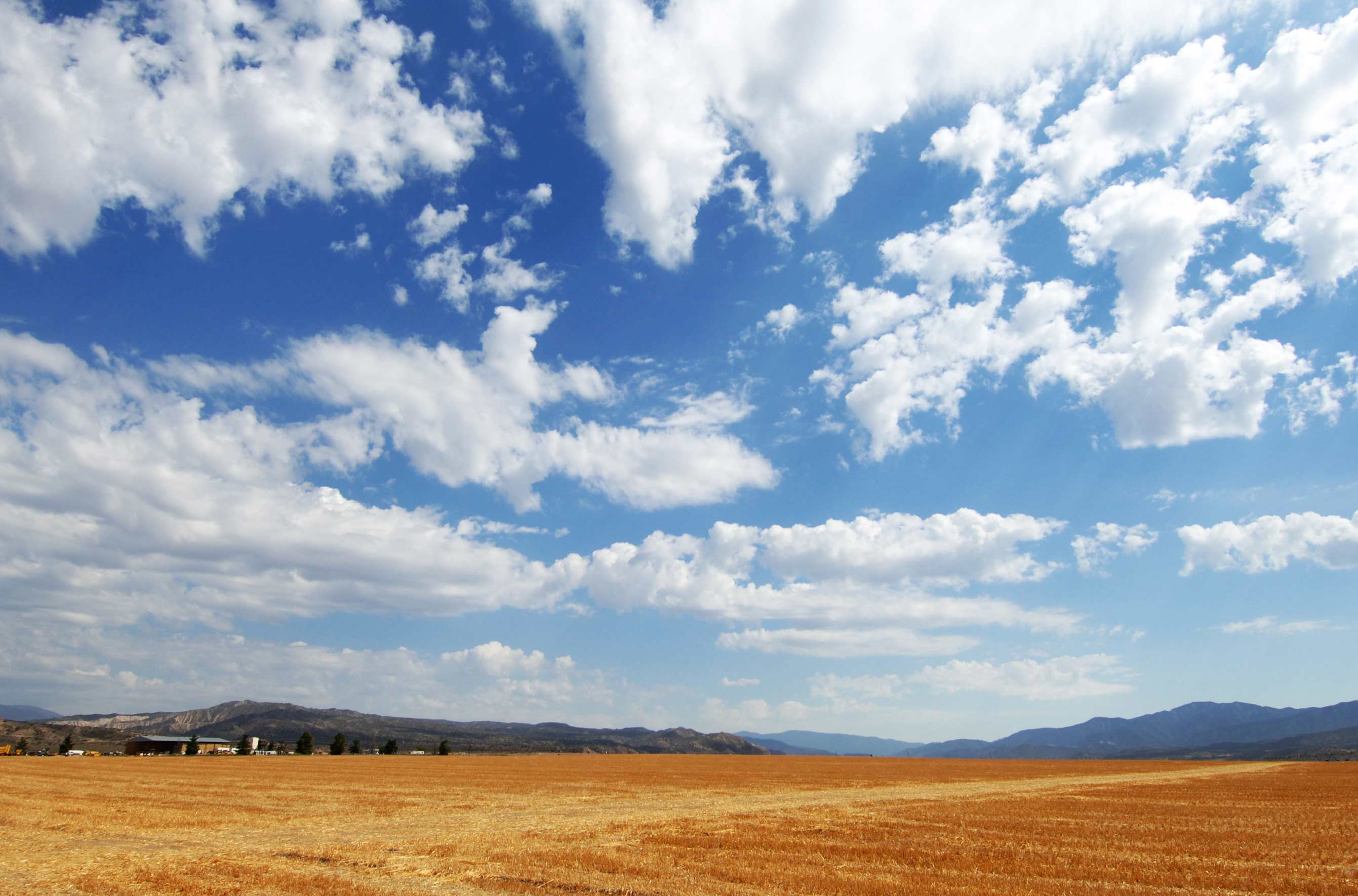 Cuyama